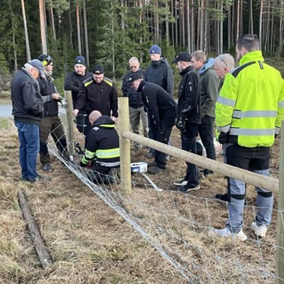 Schwedische Poda Partner bei einer Außenschulung, in der die Teilnehmer eine neue Zauntechnik an einem Knotengeflechtzaun im Waldrandbereich erlernen.